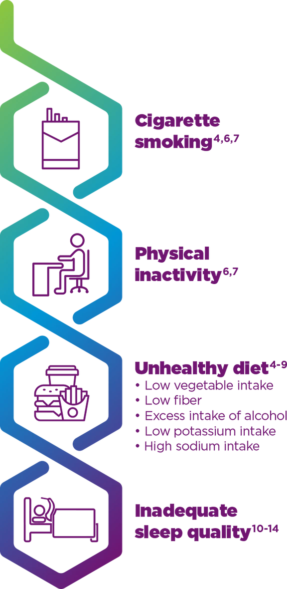 display of 4 connected hexagons with icons representing common modifiable risk factors