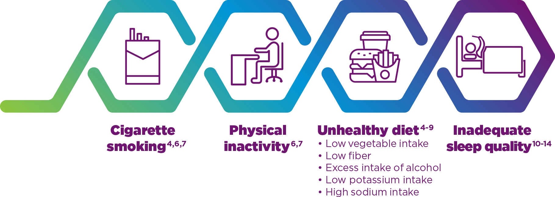 display of 4 connected hexagons with icons representing common modifiable risk factors