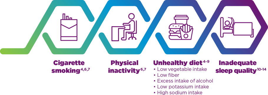 display of 4 connected hexagons with icons representing common modifiable risk factors