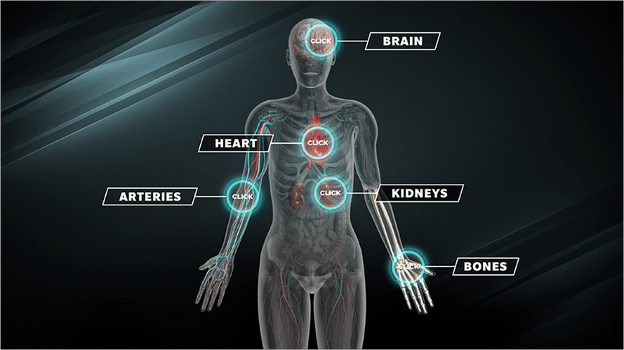 interactive infographic image